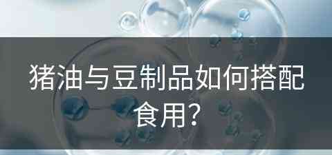 猪油与豆制品如何搭配食用？(猪油与豆制品如何搭配食用效果好)